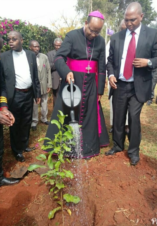 Environmental Sustainability